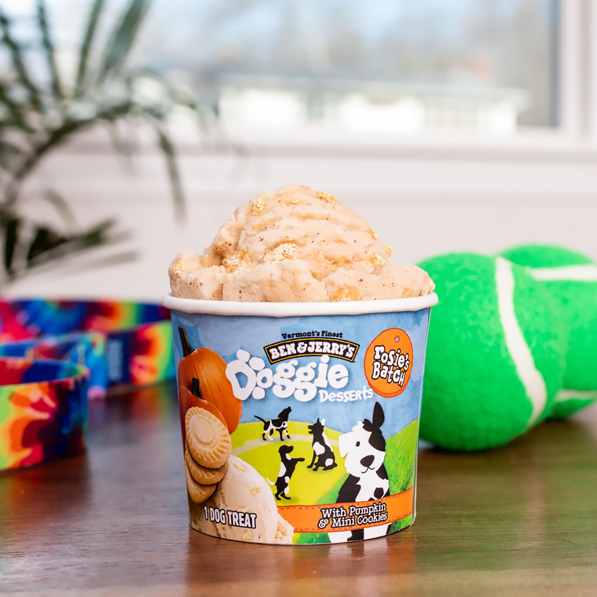 Rosie's Batch Doggie Dessert | Ben & Jerry's